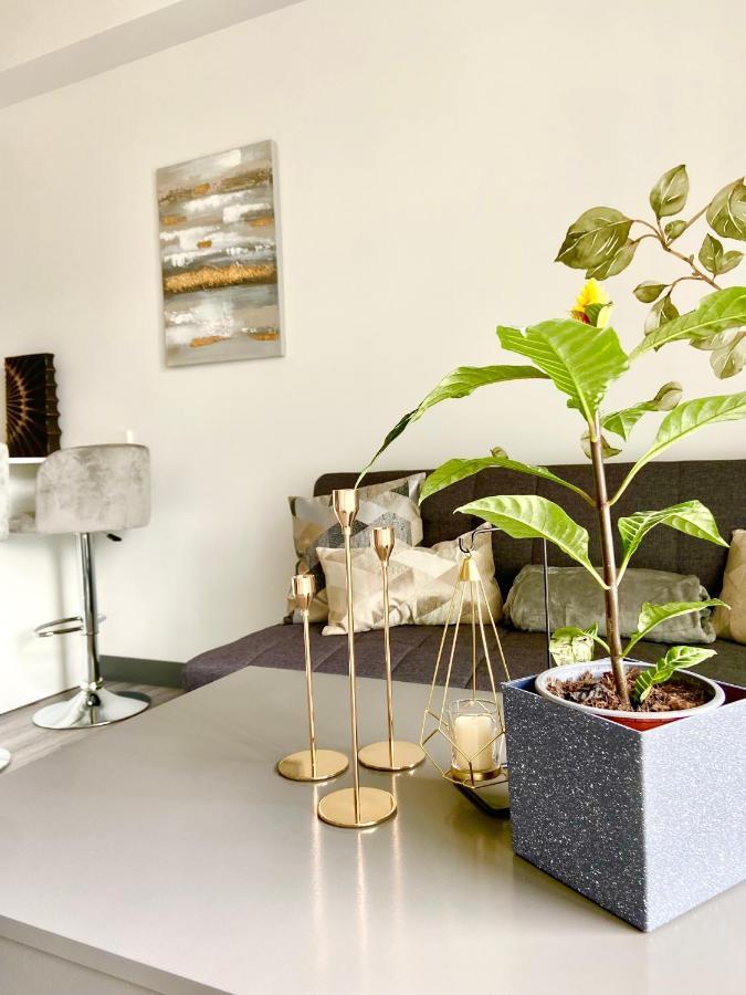 Comodo Y Elegante Apartamento En Fabuloso Condo! San José Exteriér fotografie
