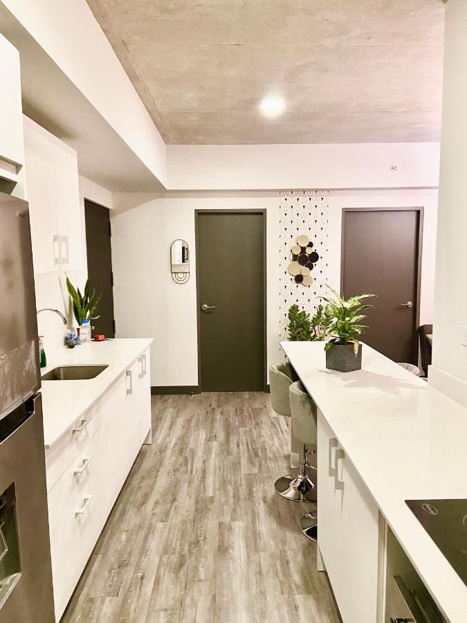 Comodo Y Elegante Apartamento En Fabuloso Condo! San José Exteriér fotografie