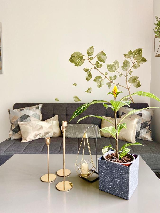 Comodo Y Elegante Apartamento En Fabuloso Condo! San José Exteriér fotografie